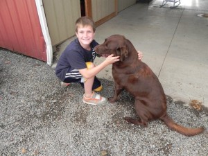 Buttonwood Farm Nursery — nursery, plants and bulk material
