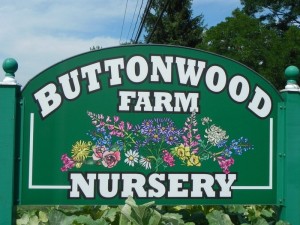 Buttonwood Farm Nursery