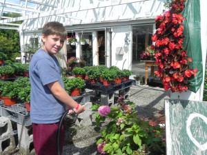 Buttonwood Farm Nursery — nursery, plants and bulk material