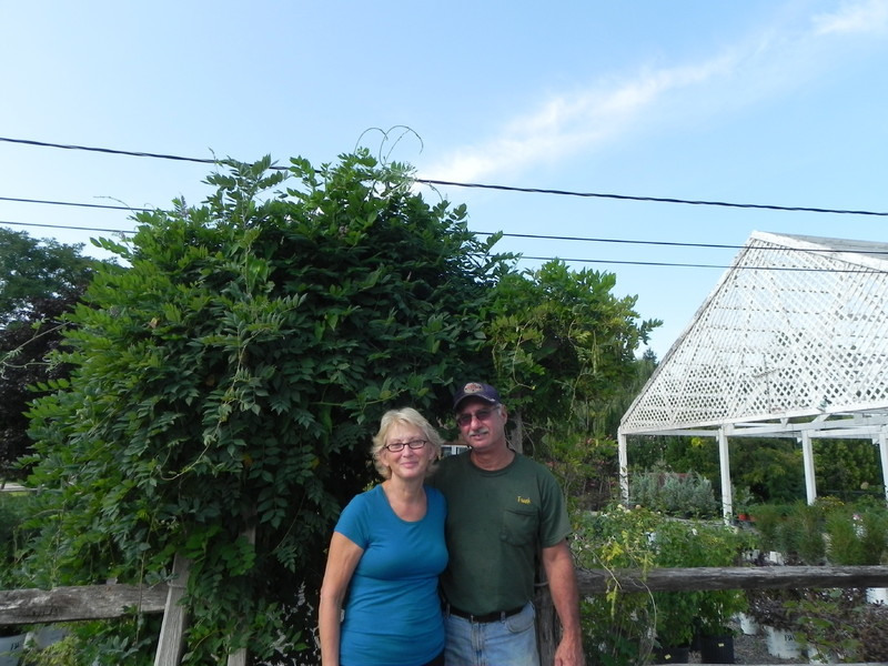 The Palumbo family at Buttonwood Farm Nursery, in front of the greenhouse